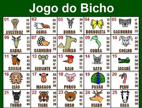 jogo do bicho petrolina